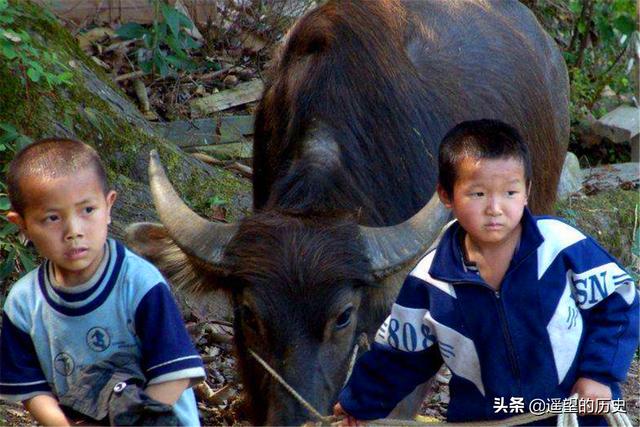 古人言：“儿孙自有儿孙福”，下半句才是重点，为人父母值得一看