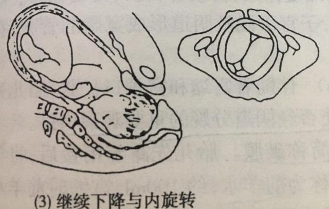 孕妈分娩时，胎宝有8个规定动作要完成，不然可能无缘顺产