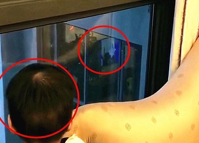 家住30层，2岁娃经常盯窗外看1个多钟头，老妈哭笑不得