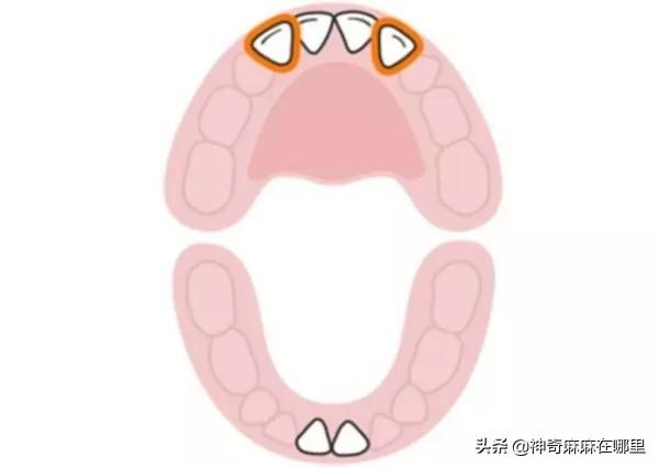 最全的宝宝“长牙”时间表