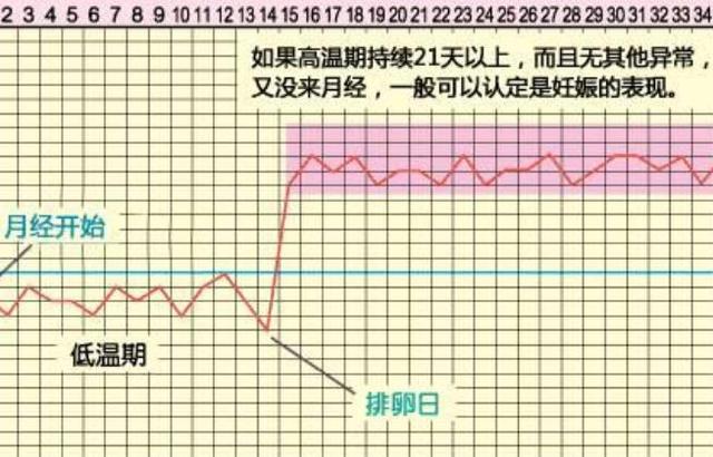 备孕时，最佳同房时间，其实并不是排卵日，而是这一天