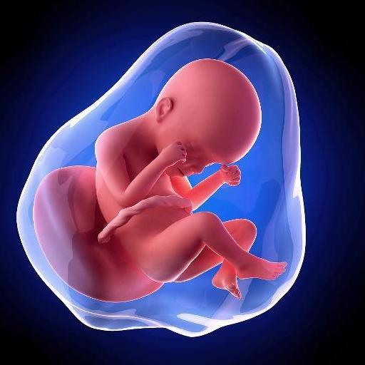 怀孕都4、5个月了，为什么还不显怀？3个原因要清楚