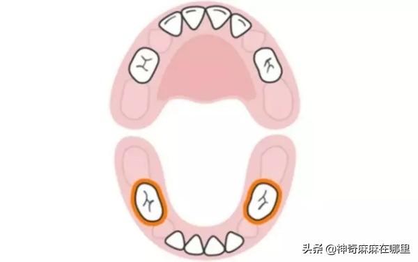 最全的宝宝“长牙”时间表