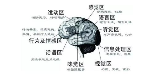宝妈疑虑：＂宝宝什么都懂，就是不肯说话＂这是怎么回事？