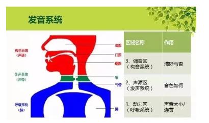 宝妈疑虑：＂宝宝什么都懂，就是不肯说话＂这是怎么回事？