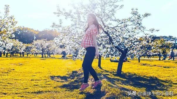 女人不退潮，唯有补充气血！
