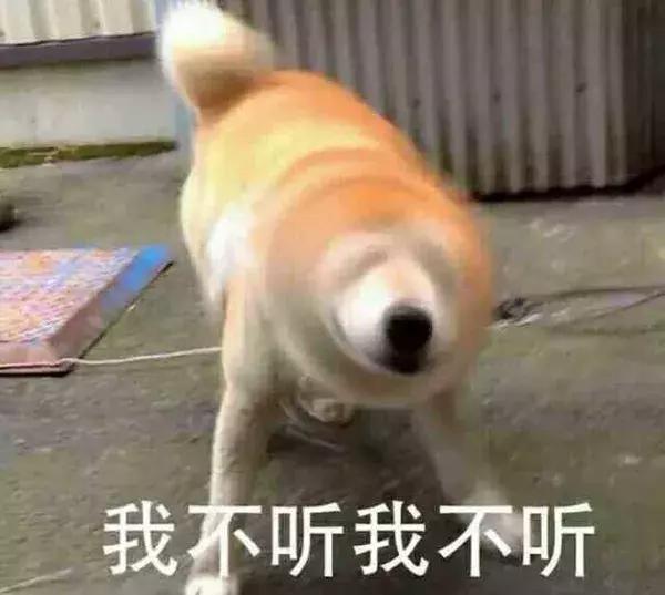 最管用、全面的驱蚊方法都在这里了！看完孩子一夏天不被咬！