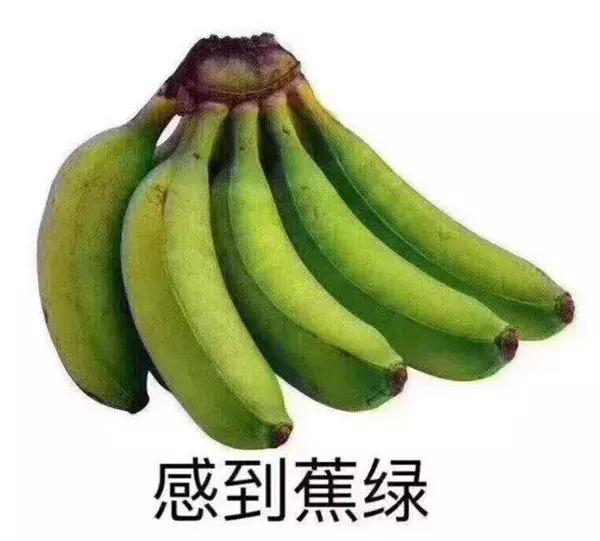 最管用、全面的驱蚊方法都在这里了！看完孩子一夏天不被咬！