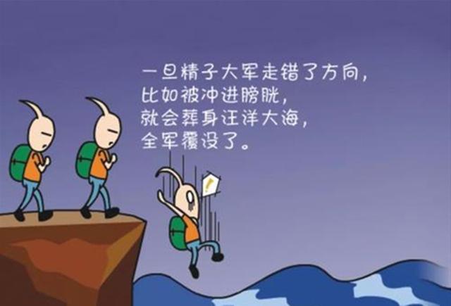 超冷的怀孕冷知识：和卵子结合的，不是最快的精子？父母都应知道