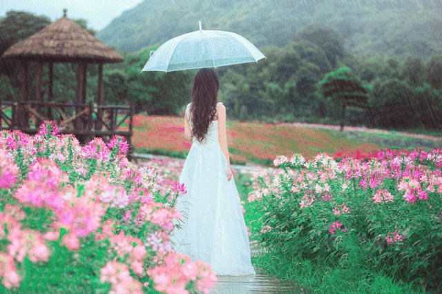 女人不退潮，唯有补充气血！