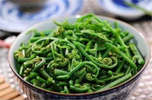 吃法:滑炒脊絲蕨菜,蕨菜扣肉,涼拌蕨菜.