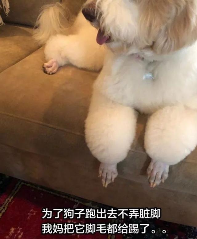 当自家老妈开启沙雕模式！网友：真是王者不可阻挡啊！