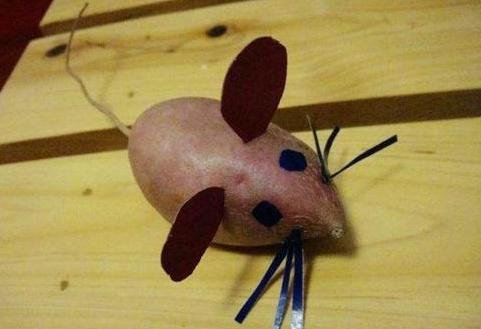 幼儿园布置亲子任务：用蔬果做动物，看到第二个，老师忍不住笑了