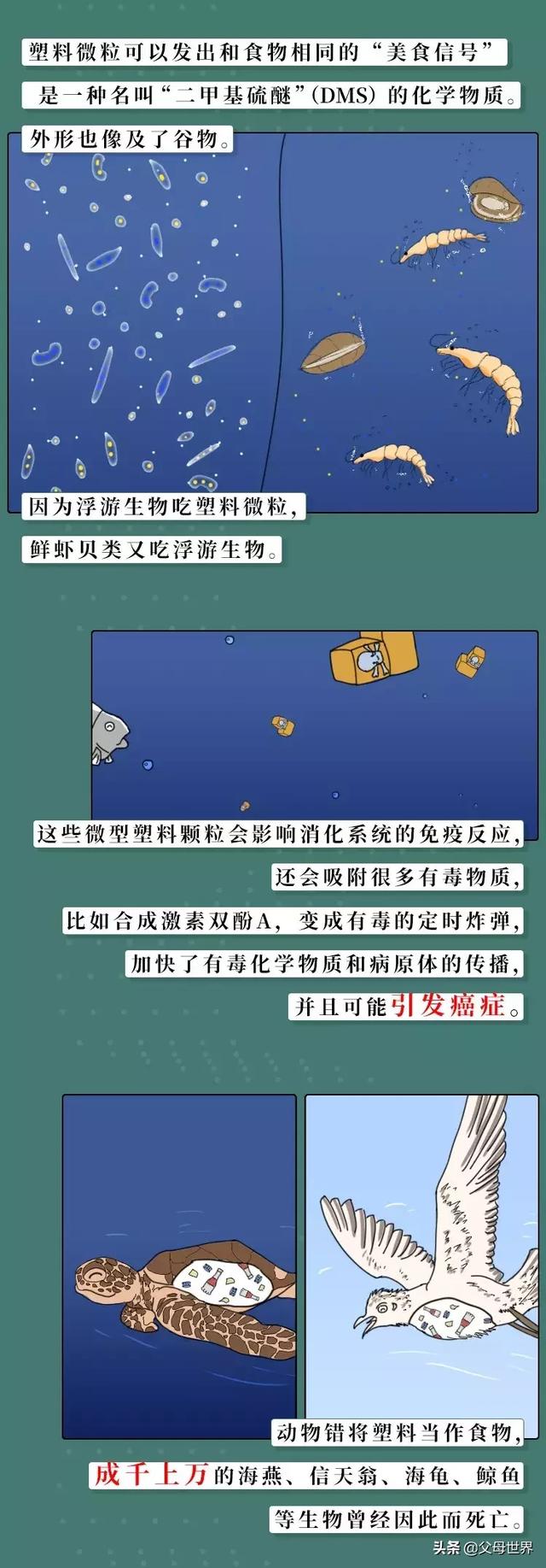 你亲手扔掉的这些垃圾，正在被你吃进胃里！