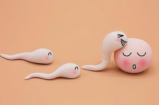 若想“好孕”，提高卵子质量很关键，备孕女性如何做好呢？