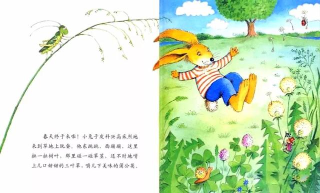 经典绘本 |《小机灵鬼皮科的故事》