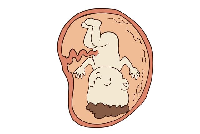 孕期这样睡最养胎，帮助胎儿发育得又快又好
