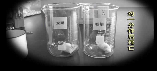 “我的孩子躲过了二手烟，却没有躲过三手烟”