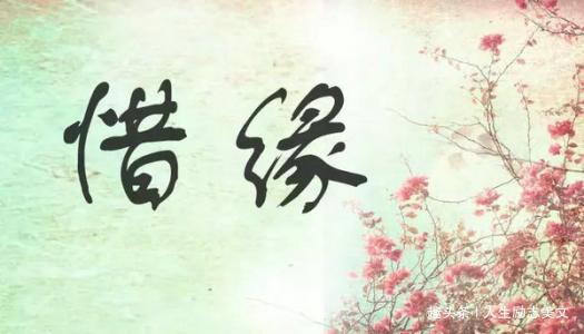 人和人相遇,就是上天给我们的缘分!