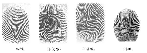 胎宝发育到这一周，就已经有了第一张“身份证”，将来用处可大着