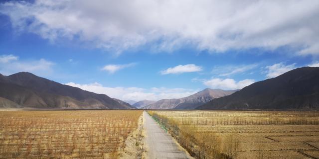 孩子，谢谢你拯救我