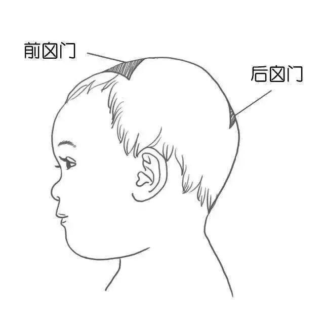 孩子脑袋上的囟门不能摸？真相是......