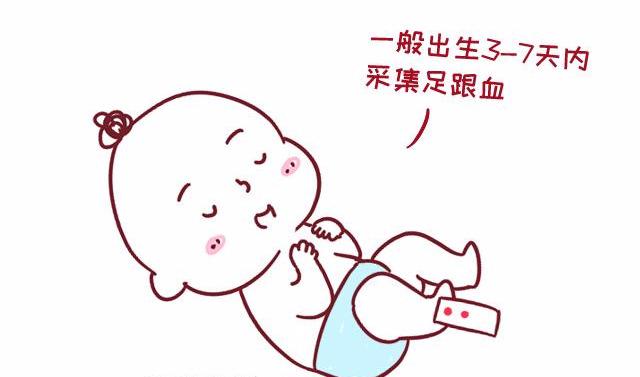 初生宝宝采血化验，为什么要选择足跟血？医生真是体贴又暖心~