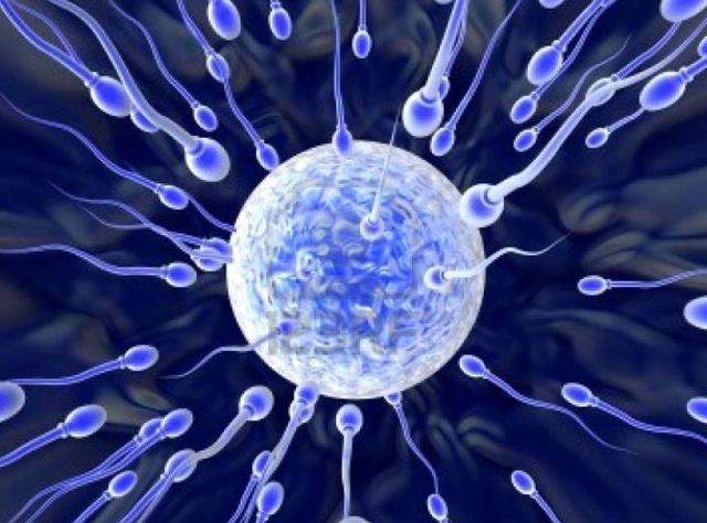 为什么有那么多的夫妻要不上孩子？3个原因既现实又无奈