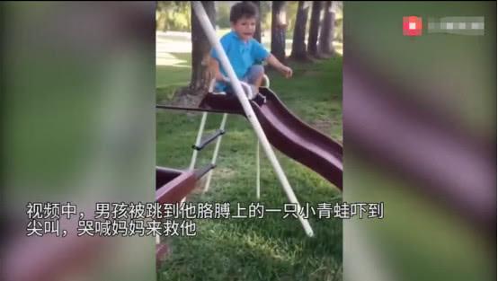 小男孩被青蛙吓哭，妈妈想帮忙赶走，下一秒网友都炸毛了