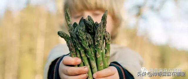 这个营养超丰富的“蔬菜之王”是宝宝最好的手指食物