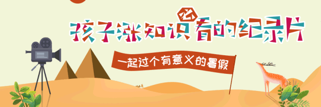 今天早上，他们为了孩子从悬崖上跳进了大海