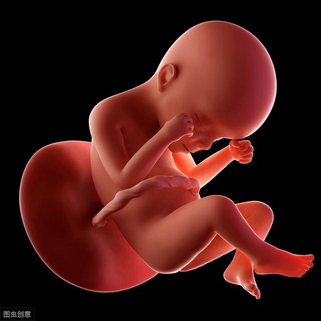 怀孕时妈妈不睡觉，肚子里的宝宝也跟着不睡吗？原来大不同