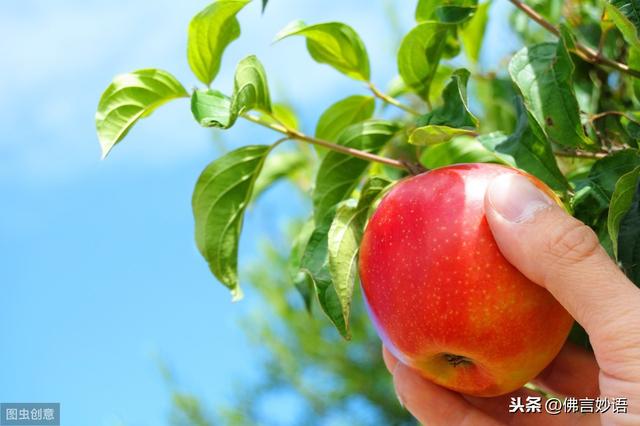孩子，人生不可能永远一帆风顺，请你靠自己