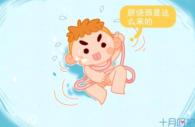 脐带绕颈一定要剖宫产？学会这些，教你一招剖转顺