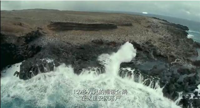 今天早上，他们为了孩子从悬崖上跳进了大海