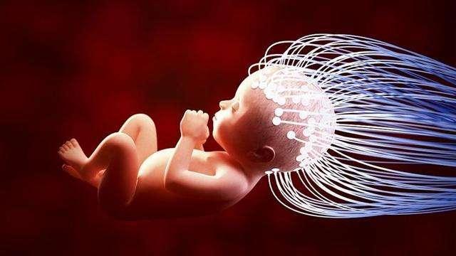 孩子是否聪明来自遗传，还是孕期营养？了解这些问题才是重点