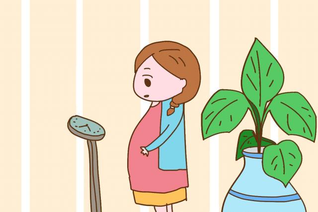 怀孕几个月显怀比较好？过早过晚都不利，孕妈别大意