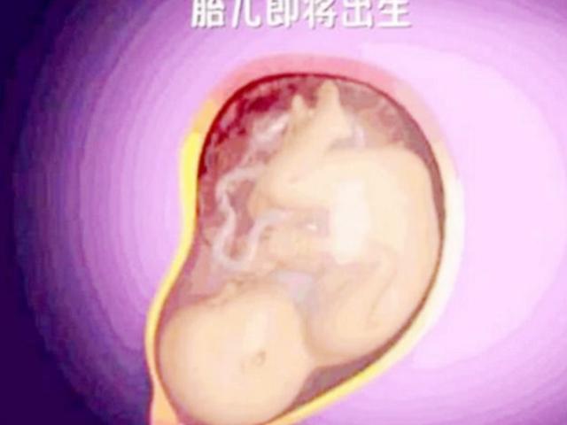 顺产全过程，隔着屏幕都感觉到疼，太震撼了，母亲值得被称赞