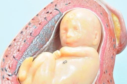 孕9周，孕囊多大正常呢？关于孕妈身体的变化，不妨了解