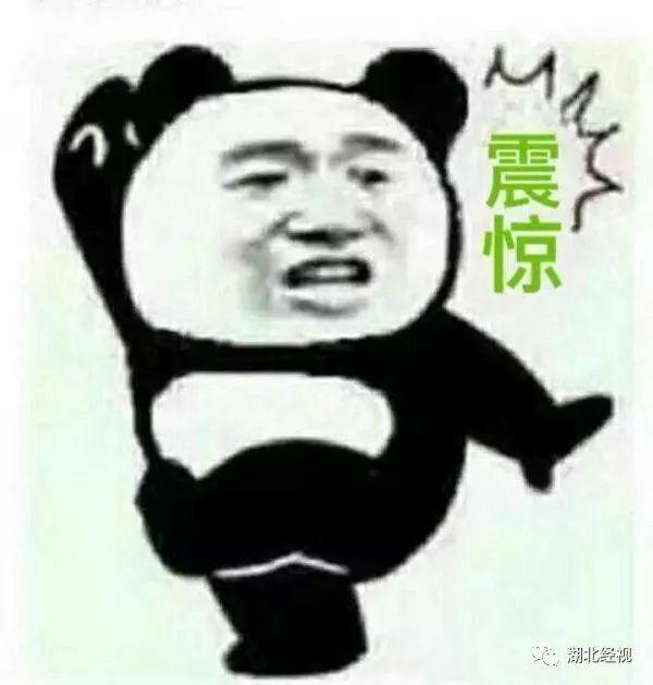 把孩子校旗插上珠峰！硬核父母震惊网友：这是逼我登月啊