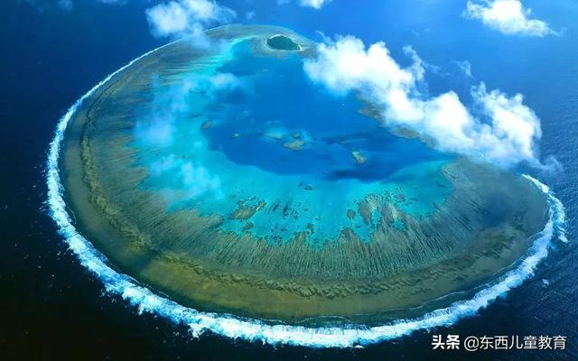 一边“环游世界”一边训练思维，高颜值法国经典绘本值得收藏