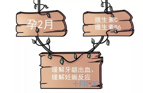 记住这10种营养，生出的宝宝健康又聪明