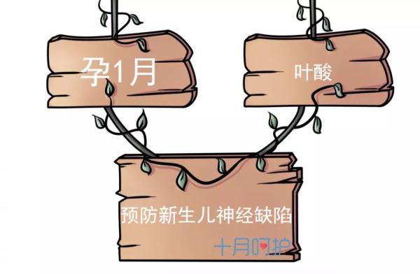 记住这10种营养，生出的宝宝健康又聪明