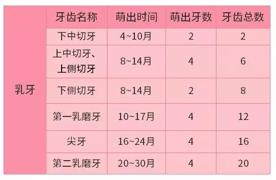 告诉你宝宝长牙顺序