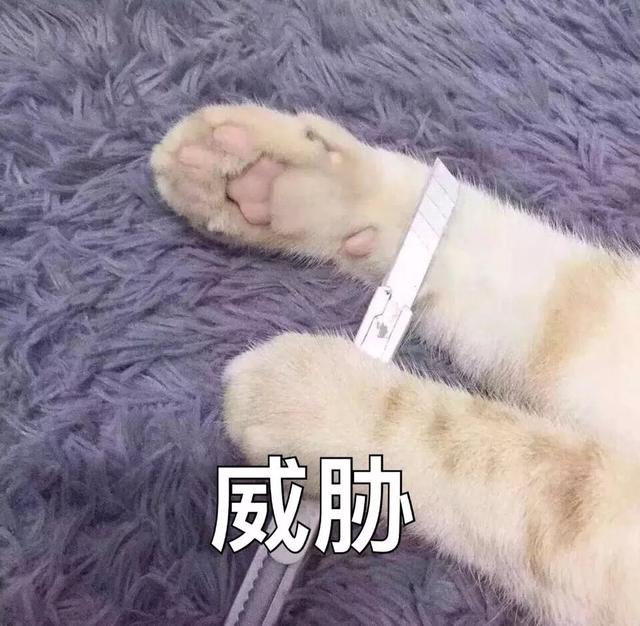 有自然营养的低脂新吃法我全都要