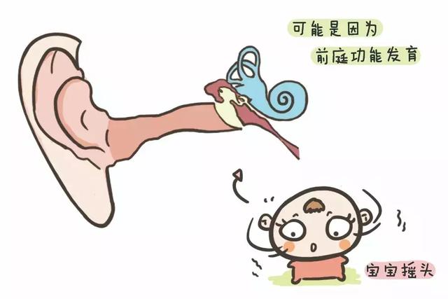 经常摇头是在锻炼前庭功能？前庭的重要性，家长不可不知
