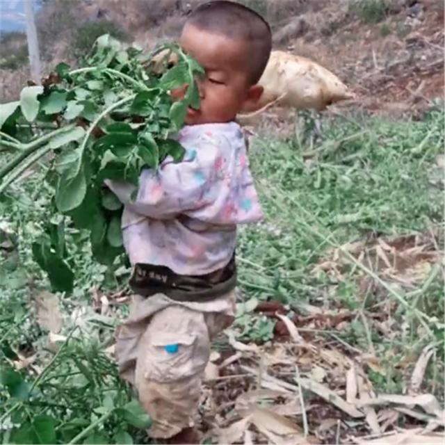 宝宝到底有多暖心？看完这七张图，“纳闷”人家的孩子是怎么教的