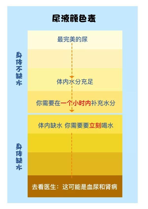 孩子每天该喝多少水？夏天怎么补水？干货来了