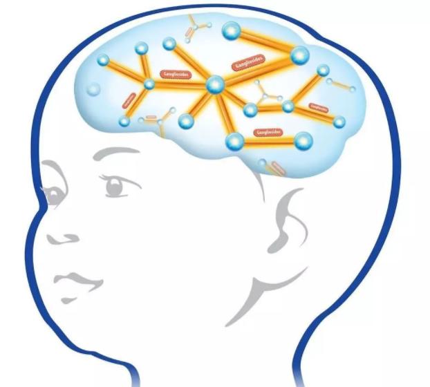 哈佛研究表明：孩子一生只有三次脑部发育高峰期，错过就会很遗憾