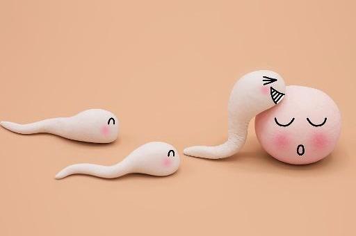 备孕女性：有卵泡不排卵是怎么回事呢？吃点什么好？